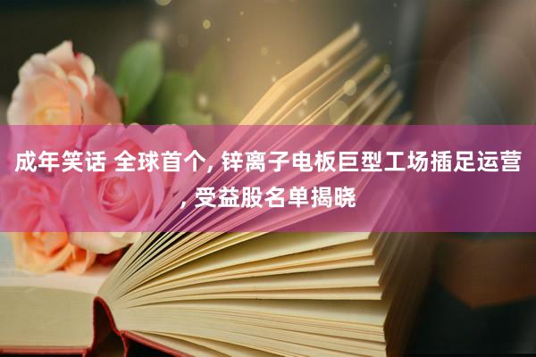 成年笑话 全球首个， 锌离子电板巨型工场插足运营， 受益股名单揭晓