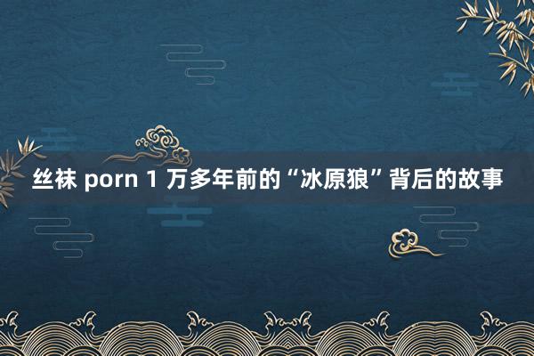 丝袜 porn 1 万多年前的“冰原狼”背后的故事